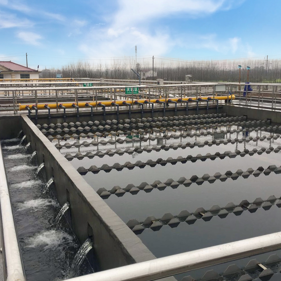 EBIS工藝在大通湖污水處理廠提質擴容改造項目成功應用