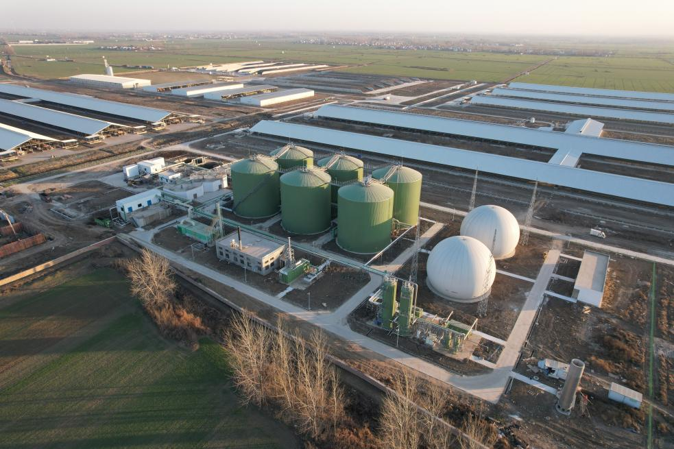 優(yōu)然牧業(yè)河南西平2.4萬頭牧場沼氣項目